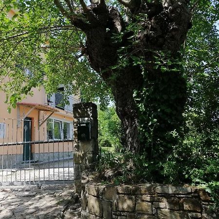 Murva Koper Exterior foto